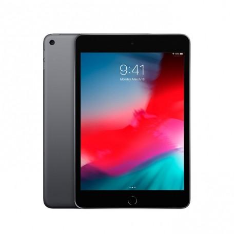 iPad Mini Wi-Fi 256GB Space Gray 2019