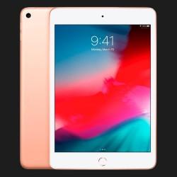  iPad Mini Wi-Fi 256GB Gold (MUU62) 2019