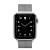 Apple Watch Series 5 Edition 40mm Titanium Case with Milanese Loop