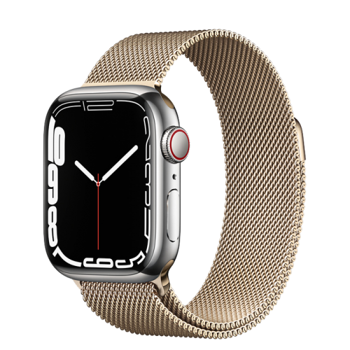 Apple Watch Series 7 41mm with Gold Stainless Steel Case